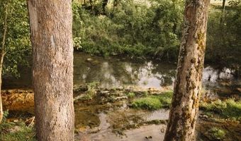 21405 Parks Mill Rd, Abingdon, VA 24211