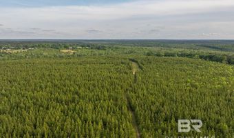 Flowers Road, Bay Minette, AL 36507