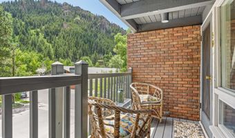 124 W Hyman Ave 3B, Aspen, CO 81611