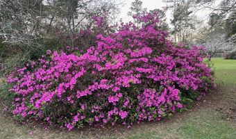 3661 Faust St, Bamberg, SC 29003