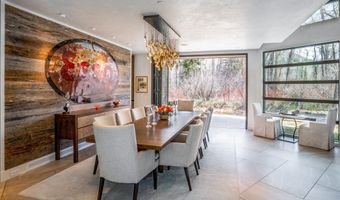 1110 Black Birch Dr, Aspen, CO 81611