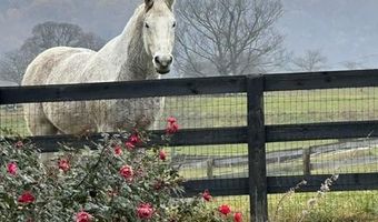 23 WHITE HORSE HILL Ln, Amissville, VA 20106