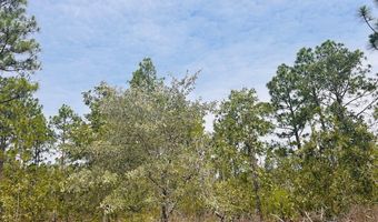 375 Village Ln, Mauk, GA 31058