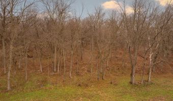 15562 Lawrence 1170, Aurora, MO 65605