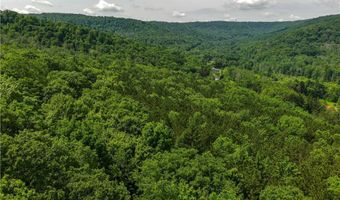 738 Four Mile Rd, Allegany, NY 14706
