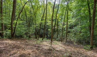 2 9 AC Chestnut Flats Rd, Andrews, NC 28901