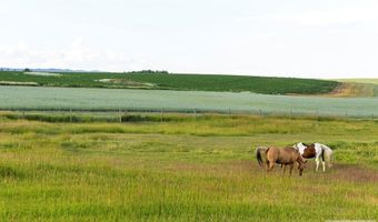 Tbd E 1400 N, Ashton, ID 83420
