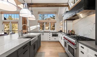 1271 Ute Ave, Aspen, CO 81611