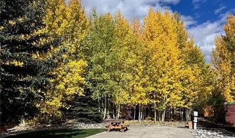 85 REVETT # 268 Dr, Breckenridge, CO 80424