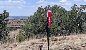 41 Indian Drive CR 8062, Concho, AZ 85924