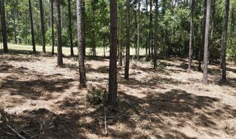 Lot 6 Lighthouse Point, Lincolnton, GA 30817