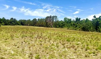 1983 Minton Chapel Rd, Bartow, GA 30413