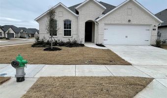 301 Tartane Dr, Anna, TX 75409