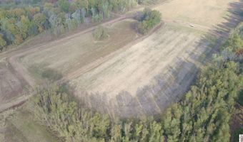 Holloway Landing Road, Barlow, KY 42024