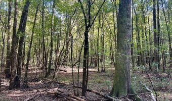 0 Lloyd Mill Rd, Andalusia, AL 36421