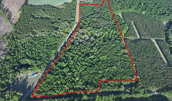 AMBOY RD, Arabi, GA 31712