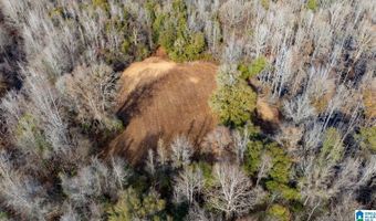 BRUSH CREEK DRIVE, Akron, AL 35441