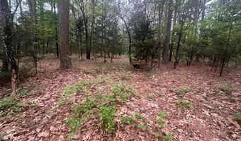 UNIT # 263B KIAMICHI WILDERNESS RD Unit # 63 63, Antlers, OK 74523