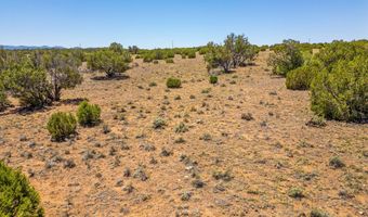 County Road 8643, Concho, AZ 85924