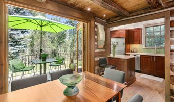 117 Neale Ave, Aspen, CO 81611