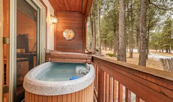 33 Clay Ter, Angel Fire, NM 87710