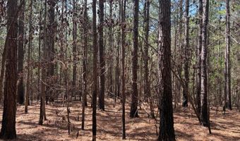 274 CR 3301, Booneville, MS 38829