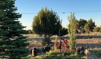 727 County Road 8500, Concho, AZ 85924