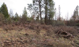 Polar Bear Lane lot 3, Bonanza, OR 97623
