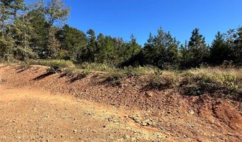 1011 Granny Hollar Rd, Atkins, AR 72823
