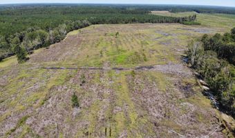 Old Buckhead Road, Bamberg, SC 29003