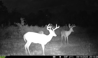 00 Ebenzer Church Rd, Bassfield, MS 39421