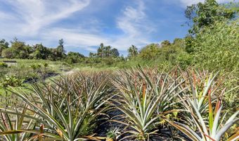 81-1045 KEOPUKA MAUKA Rd, Captain Cook, HI 96750