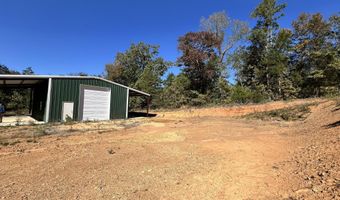 1011 Granny Hollar Rd, Atkins, AR 72823