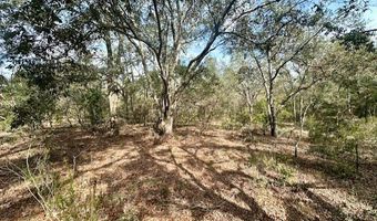 NW County Road 236, Bell, FL 32619