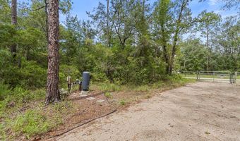 5829 NW 11th Ave, Bell, FL 32619