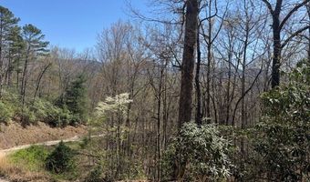 000 Holland Farm Rd, Andrews, NC 28901