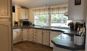 2166 Healing Springs Rd, Blackville, SC 29817