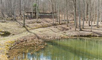 140 Wild Mountain Ln, Barnardsville, NC 28709