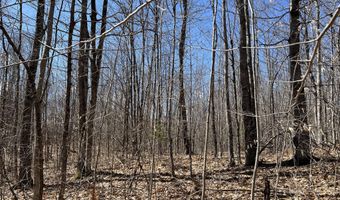 Lot 22-6 Greenleaf Road, Anson, ME 04911