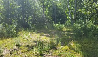Lot39 Tripptown Road, Hiram, ME 04041