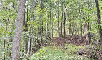 Jesse Run Rd, Arnoldsburg, WV 25234
