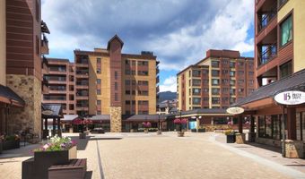 535 S Park Ave 317, Breckenridge, CO 80424