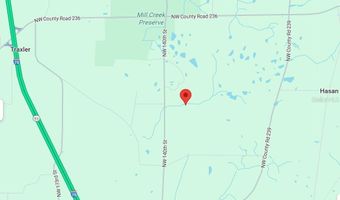 NW 218TH LANE, Alachua, FL 32615