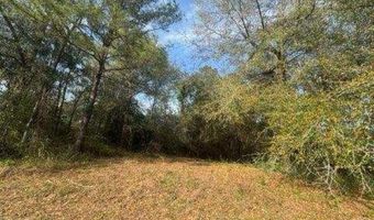 Delta Woods Drive, Bay Minette, AL 36507