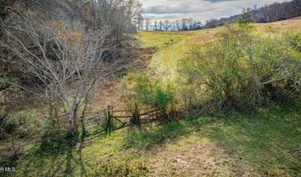 1520 Brittontown Rd, Afton, TN 37616