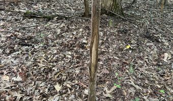 Lot 2B Gidsville Road, Amherst, VA 24521