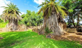 66-193 Kamehameha Hwy, Haleiwa, HI 96712