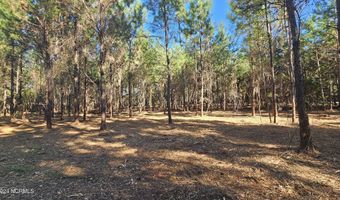 22 Peterson Creek Rd, Aurora, NC 27806