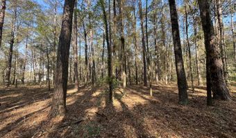 Old Military Road lot # 3, Adams Run, SC 29426