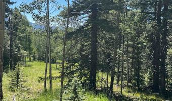 Lot 1012 El Camino Real, Angel Fire, NM 87710